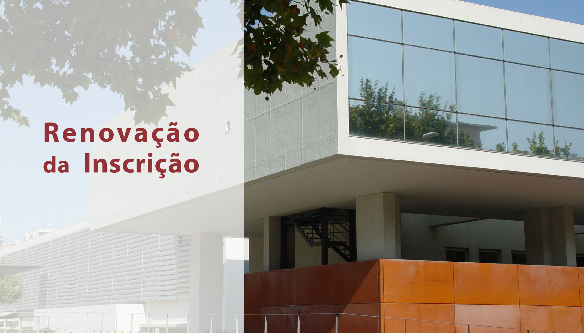 Renovação da Inscrição para o Ano Letivo de 2022/2023