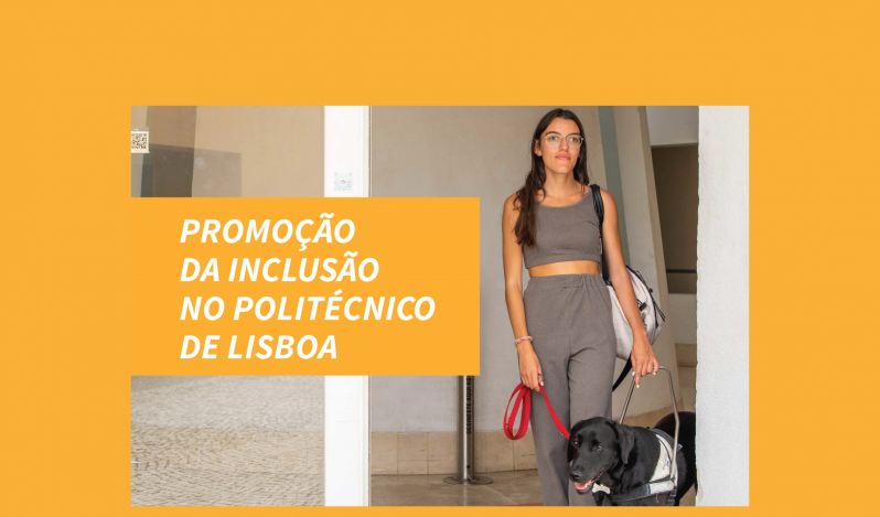 Webinar: Estudantes cegos e amblíopes