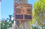 hotel de insetos_Eco-escolas