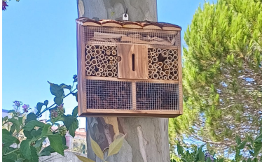 hotel de insetos_Eco-escolas