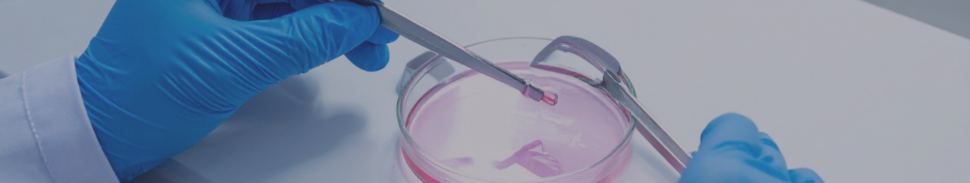 Curso_InfertilidadeHumana