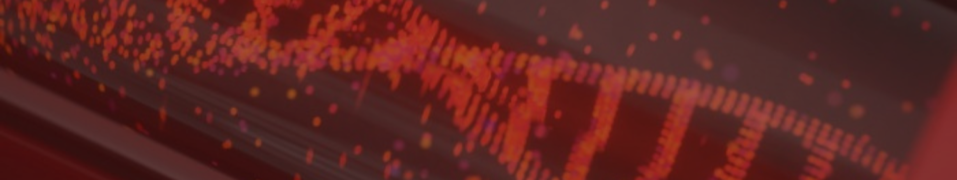 Curso Investigação nas Ciências da transfusão e transplantação